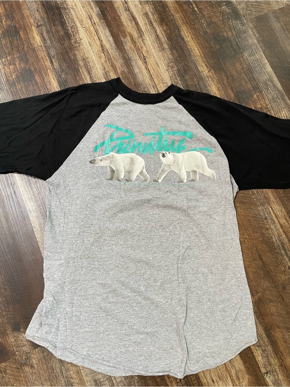 Primitive Polar Bear Raglan Tee - Gray, Black & Teal
